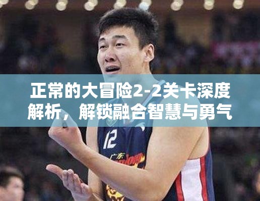 正常的大冒险2-2关卡深度解析，解锁融合智慧与勇气的极致双重挑战