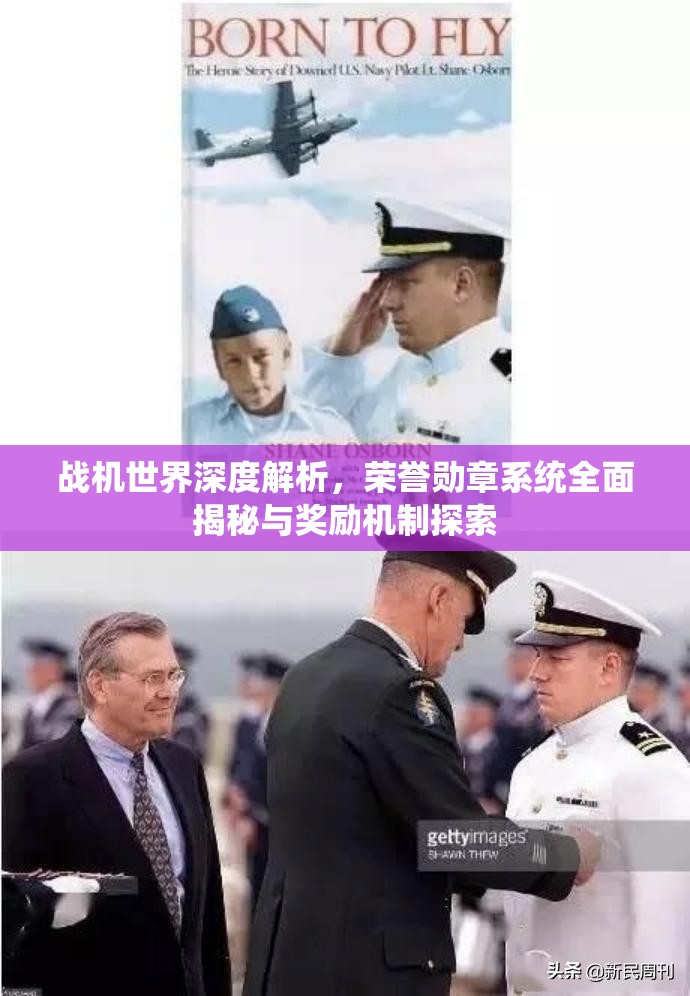 战机世界深度解析，荣誉勋章系统全面揭秘与奖励机制探索