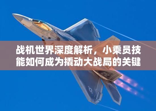 战机世界深度解析，小乘员技能如何成为撬动大战局的关键因素