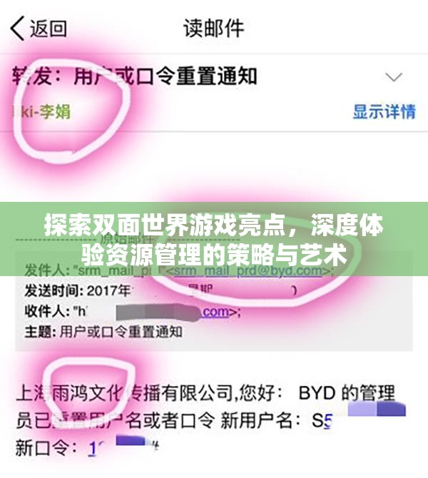 探索双面世界游戏亮点，深度体验资源管理的策略与艺术