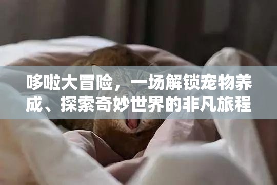 哆啦大冒险，一场解锁宠物养成、探索奇妙世界的非凡旅程