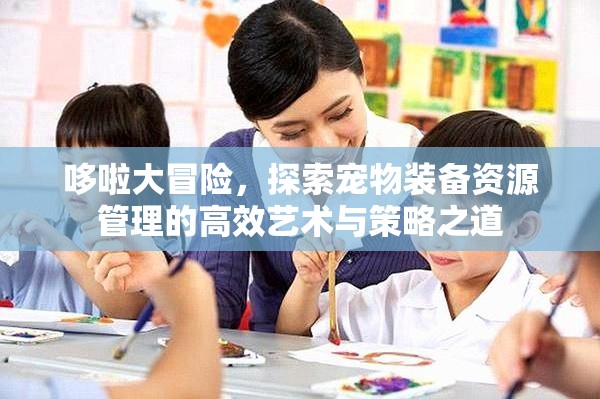 哆啦大冒险，探索宠物装备资源管理的高效艺术与策略之道