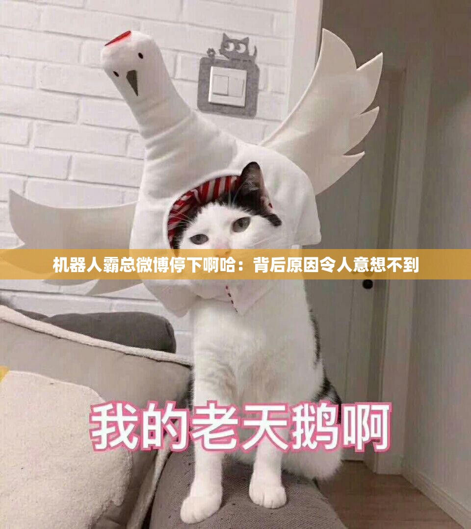 机器人霸总微博停下啊哈：背后原因令人意想不到