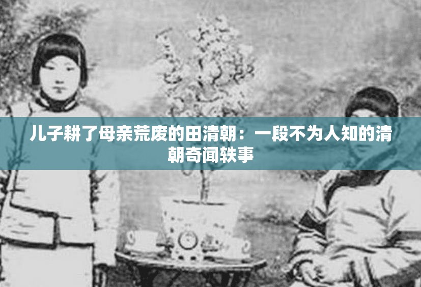 儿子耕了母亲荒废的田清朝：一段不为人知的清朝奇闻轶事