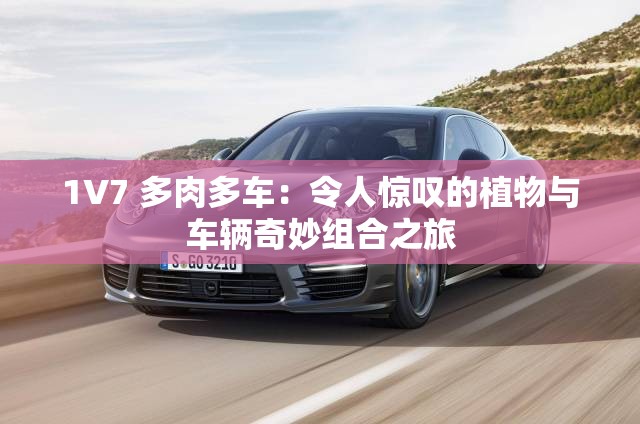 1V7 多肉多车：令人惊叹的植物与车辆奇妙组合之旅