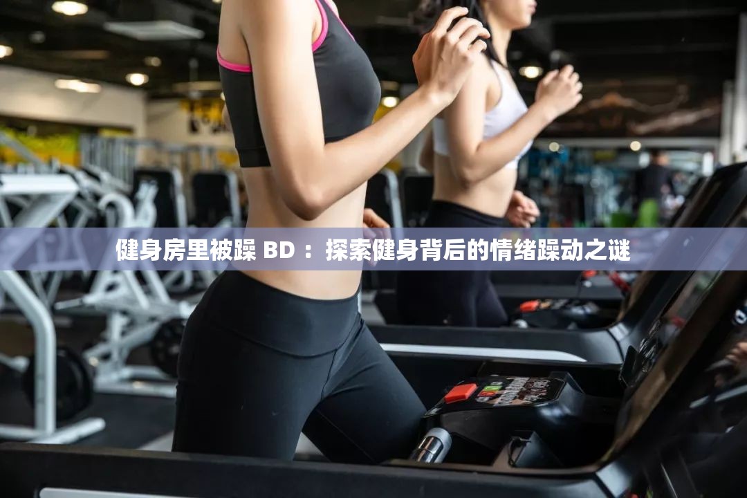健身房里被躁 BD ：探索健身背后的情绪躁动之谜