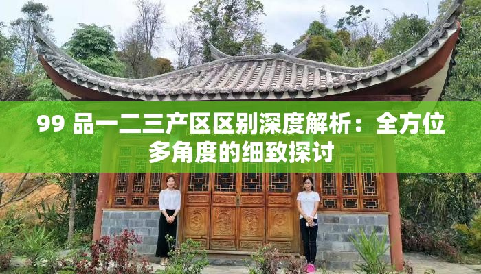 99 品一二三产区区别深度解析：全方位多角度的细致探讨