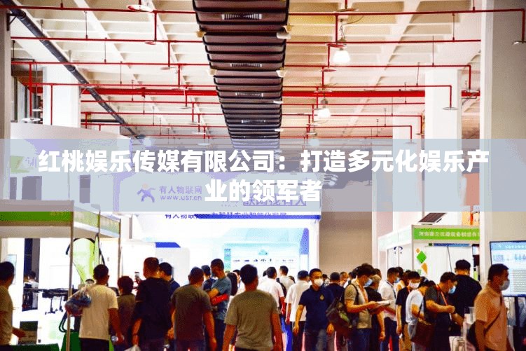 红桃娱乐传媒有限公司：打造多元化娱乐产业的领军者