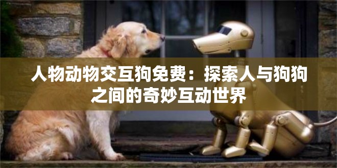 人物动物交互狗免费：探索人与狗狗之间的奇妙互动世界