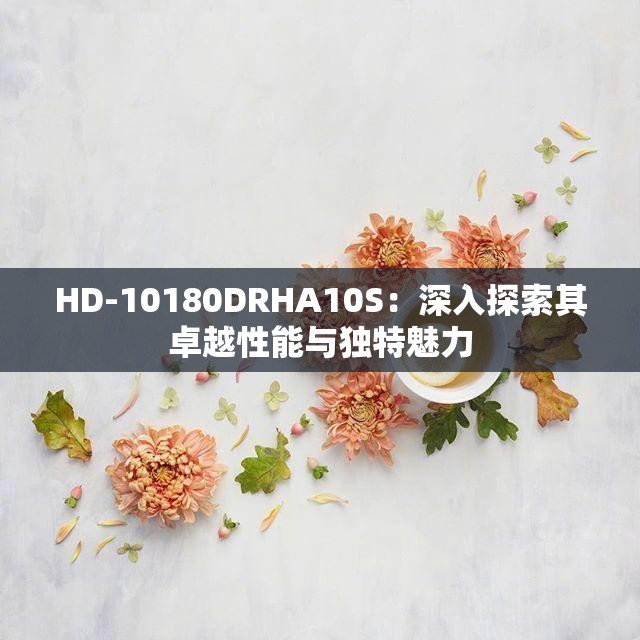 HD-10180DRHA10S：深入探索其卓越性能与独特魅力