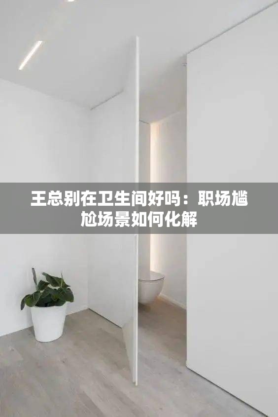 王总别在卫生间好吗：职场尴尬场景如何化解