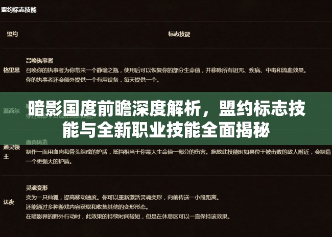 暗影国度前瞻深度解析，盟约标志技能与全新职业技能全面揭秘