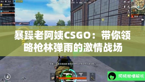 暴躁老阿姨CSGO：带你领略枪林弹雨的激情战场