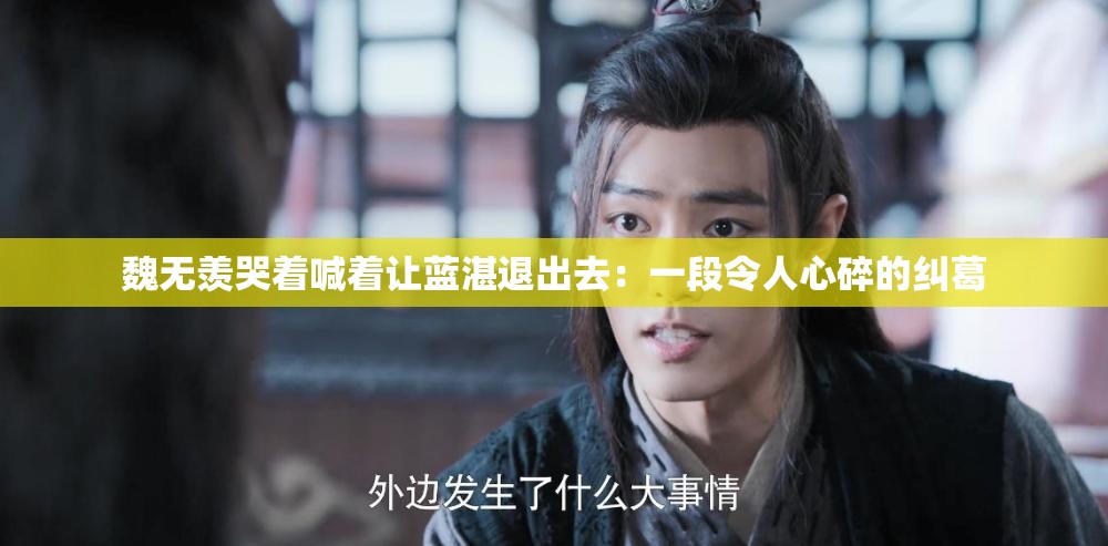 魏无羡哭着喊着让蓝湛退出去：一段令人心碎的纠葛