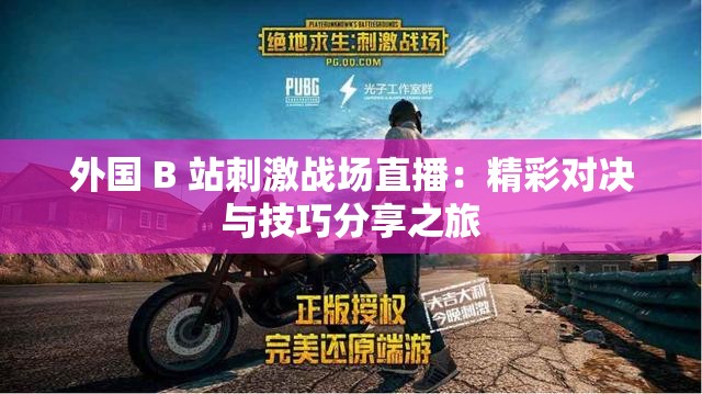 外国 B 站刺激战场直播：精彩对决与技巧分享之旅