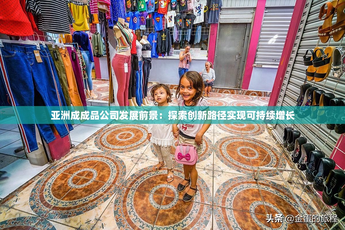 亚洲成成品公司发展前景：探索创新路径实现可持续增长