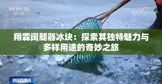翔霖阔腿器冰块：探索其独特魅力与多样用途的奇妙之旅
