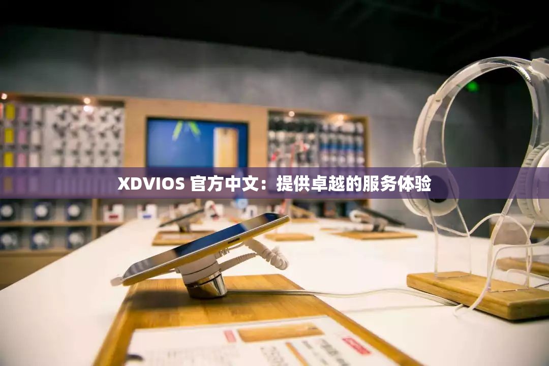 XDVIOS 官方中文：提供卓越的服务体验