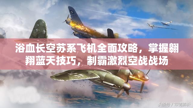 浴血长空苏系飞机全面攻略，掌握翱翔蓝天技巧，制霸激烈空战战场
