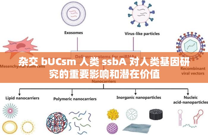杂交 bUCsm 人类 ssbA 对人类基因研究的重要影响和潜在价值