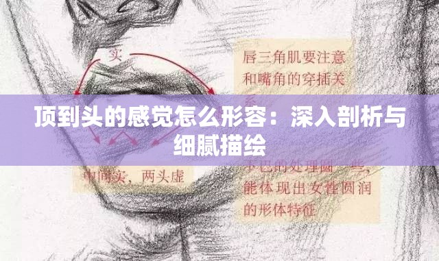 顶到头的感觉怎么形容：深入剖析与细腻描绘