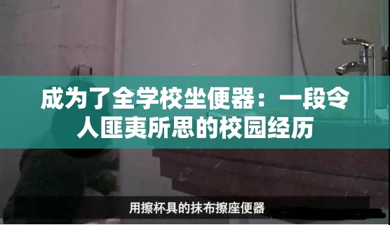 成为了全学校坐便器：一段令人匪夷所思的校园经历