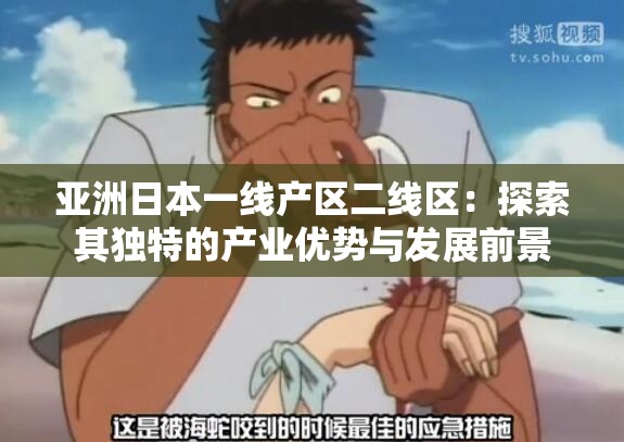 亚洲日本一线产区二线区：探索其独特的产业优势与发展前景