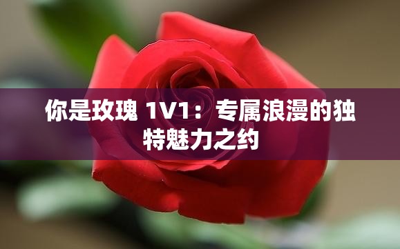 你是玫瑰 1V1：专属浪漫的独特魅力之约