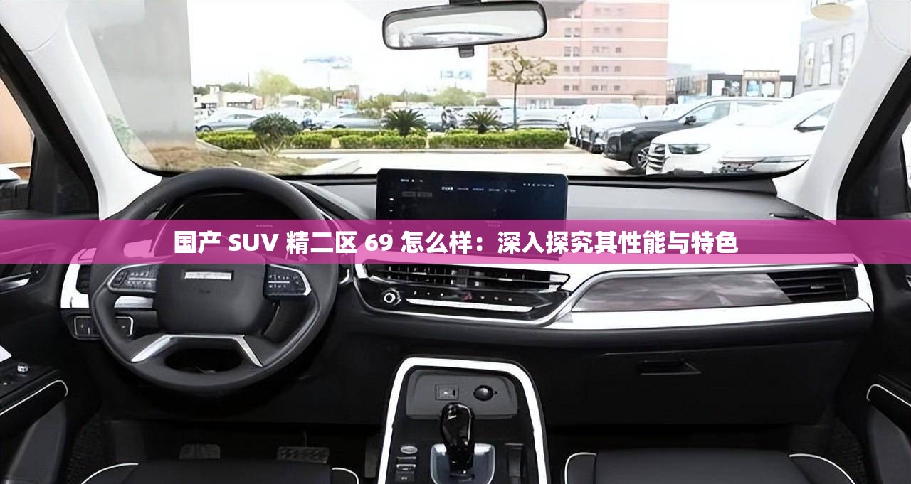 国产 SUV 精二区 69 怎么样：深入探究其性能与特色