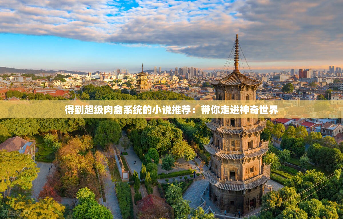 得到超级肉禽系统的小说推荐：带你走进神奇世界