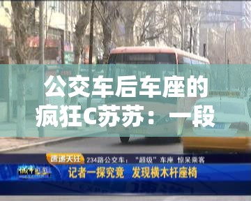 公交车后车座的疯狂C苏苏：一段令人惊奇的旅程