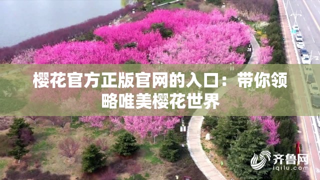 樱花官方正版官网的入口：带你领略唯美樱花世界