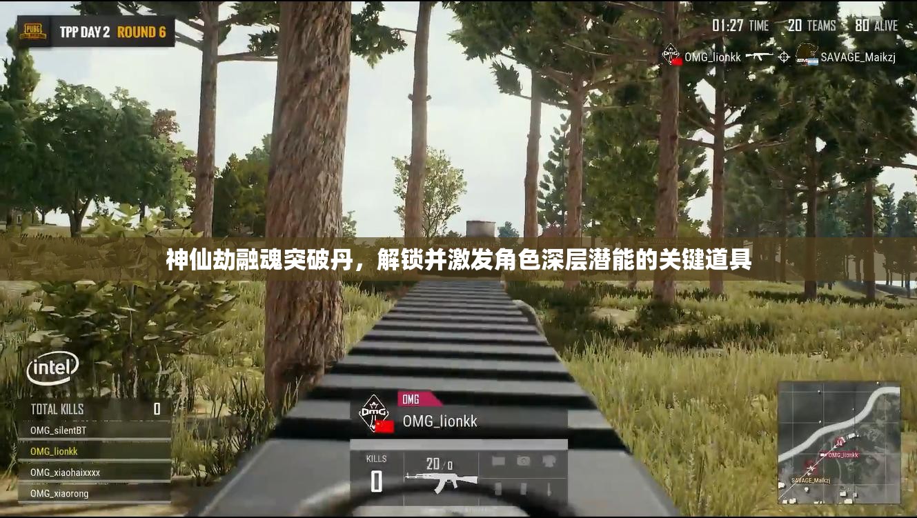 神仙劫融魂突破丹，解锁并激发角色深层潜能的关键道具