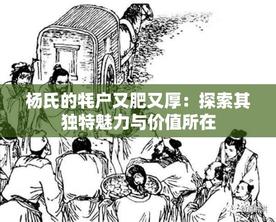 杨氏的牦户又肥又厚：探索其独特魅力与价值所在