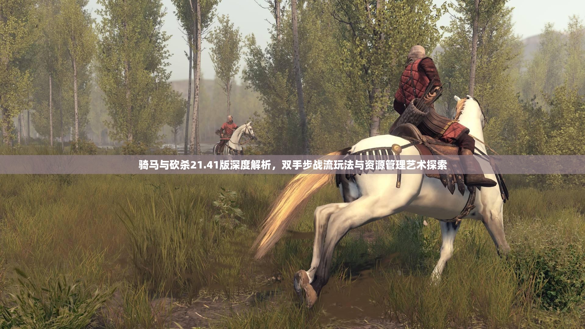 骑马与砍杀21.41版深度解析，双手步战流玩法与资源管理艺术探索