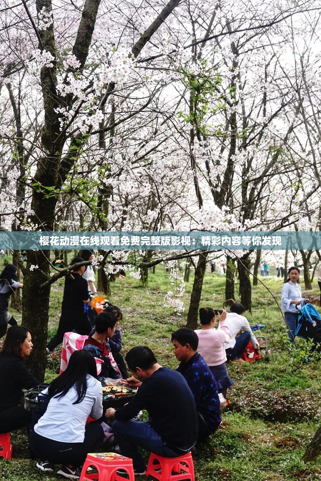 樱花动漫在线观看免费完整版影视：精彩内容等你发现