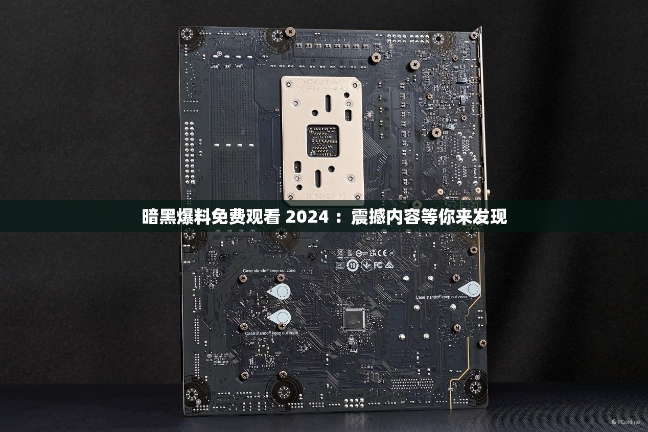 暗黑爆料免费观看 2024 ：震撼内容等你来发现