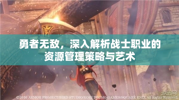 勇者无敌，深入解析战士职业的资源管理策略与艺术