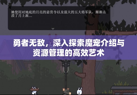 勇者无敌，深入探索魔宠介绍与资源管理的高效艺术