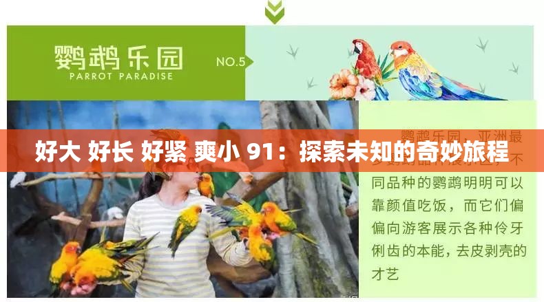 好大 好长 好紧 爽小 91：探索未知的奇妙旅程