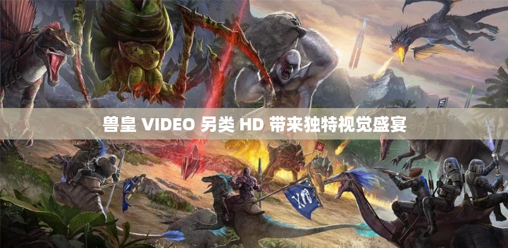 兽皇 VIDEO 另类 HD 带来独特视觉盛宴