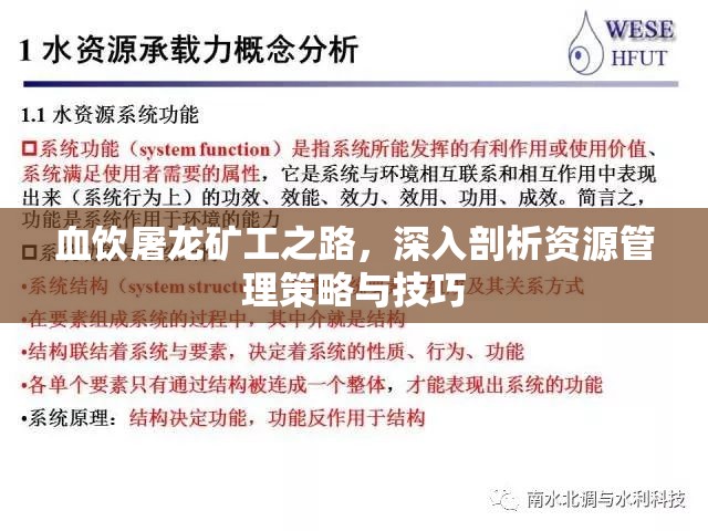 血饮屠龙矿工之路，深入剖析资源管理策略与技巧