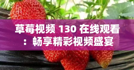 草莓视频 130 在线观看：畅享精彩视频盛宴