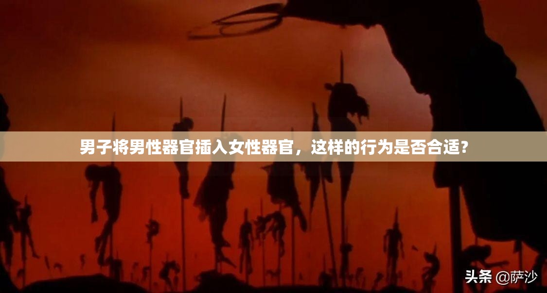男子将男性器官插入女性器官，这样的行为是否合适？