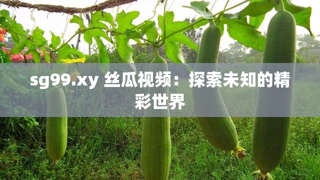 sg99.xy 丝瓜视频：探索未知的精彩世界