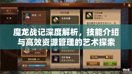 魔龙战记深度解析，技能介绍与高效资源管理的艺术探索