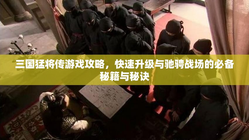 三国猛将传游戏攻略，快速升级与驰骋战场的必备秘籍与秘诀