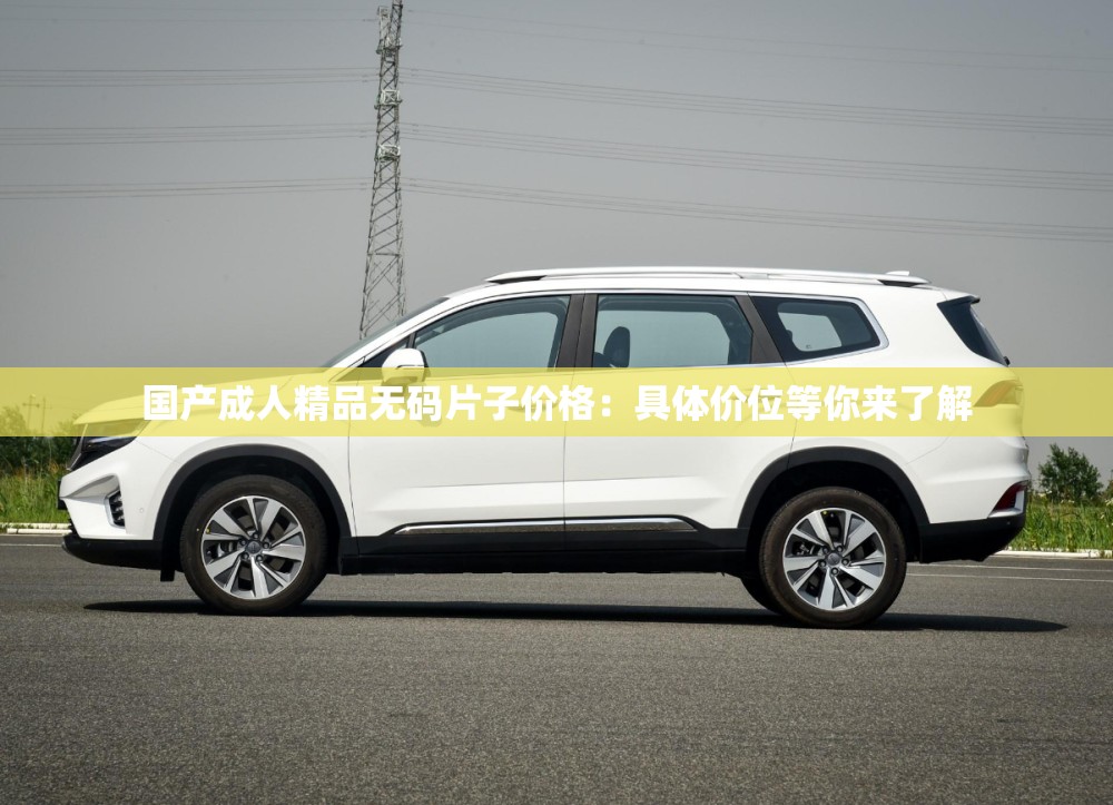 国产成人精品无码片子价格：具体价位等你来了解