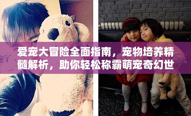 爱宠大冒险全面指南，宠物培养精髓解析，助你轻松称霸萌宠奇幻世界