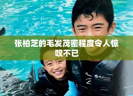 张柏芝的毛发茂密程度令人惊叹不已